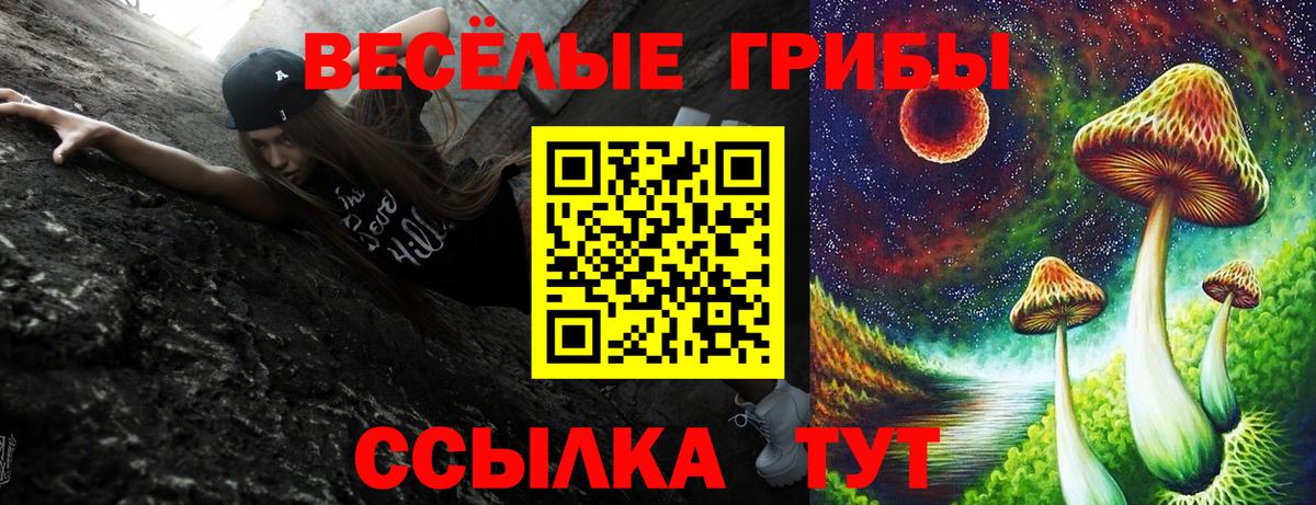 Таганрог  Псилоцибиновые грибы мухоморы  Вход с VPN  Галлюциногенные грибы Psilocybine cubensis 